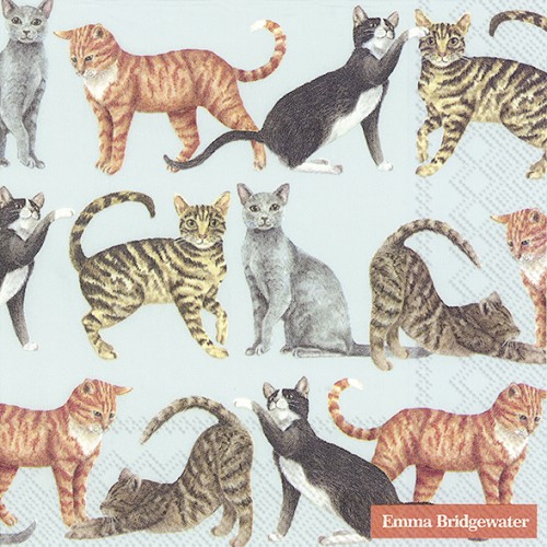 Lunch Napkins Cats light blue